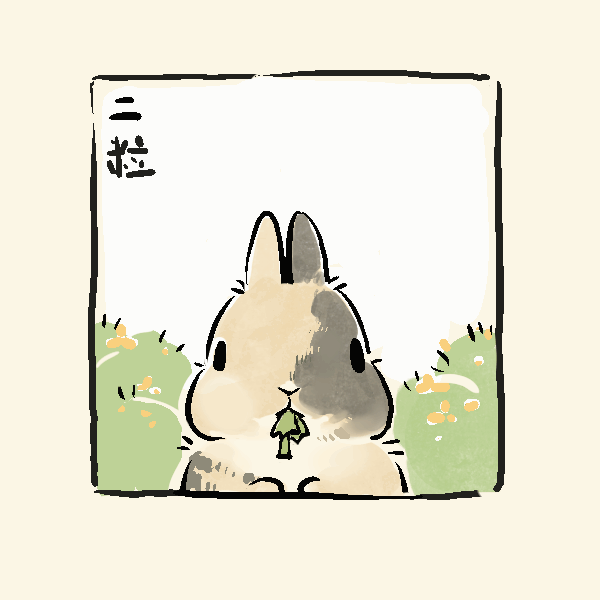 rabbit